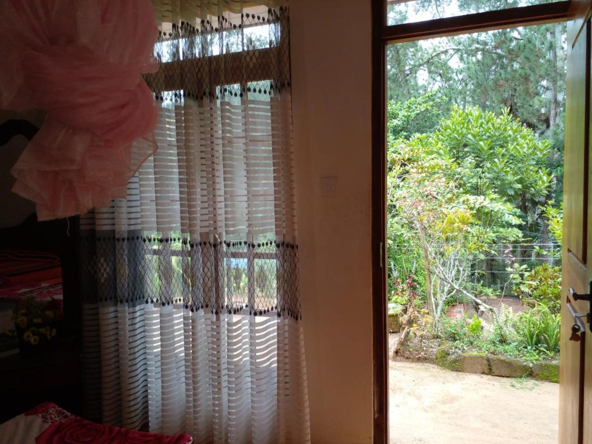 Pleasure Mount Homestay Ella Exteriör bild